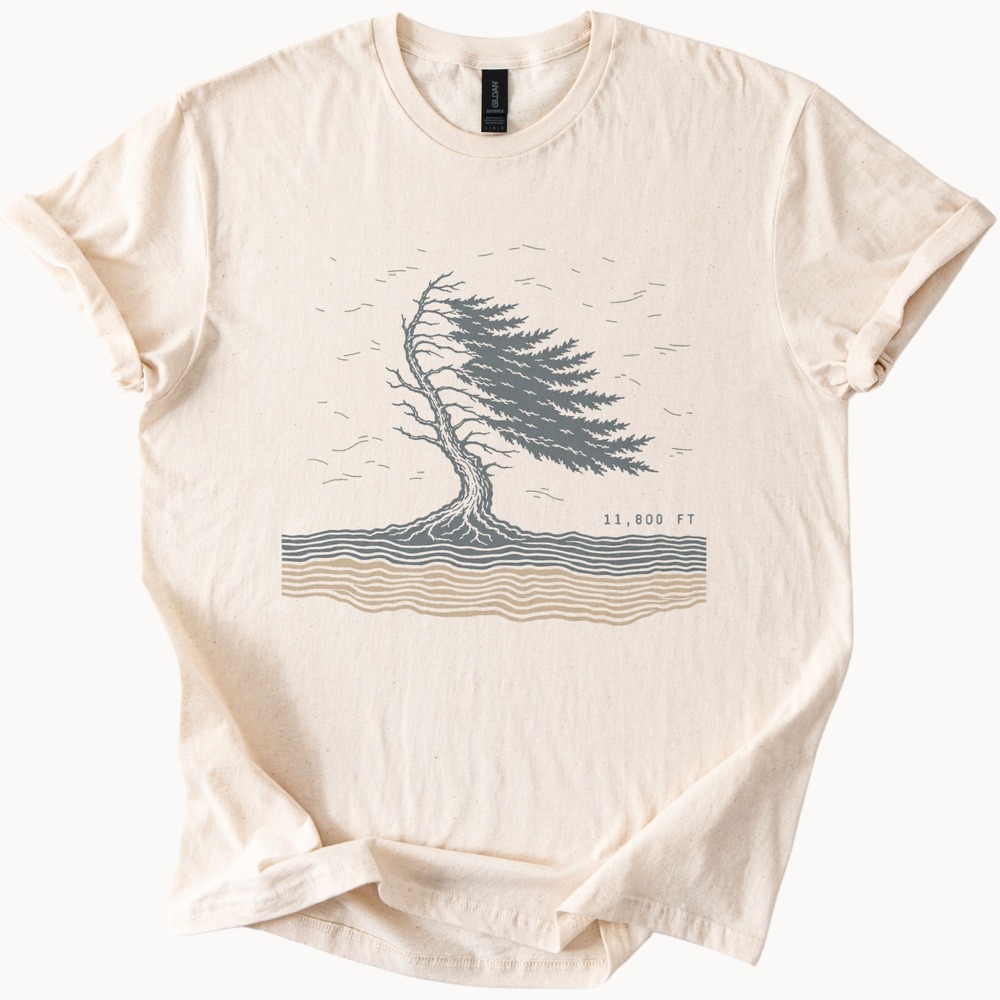 11,800 FT Windswept Conifer Forest Tee